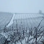 Gran Collina * San Damiano dʼAsti