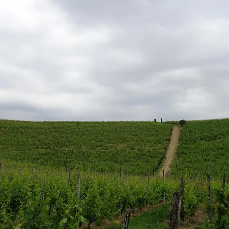 Farma Gran Collina *