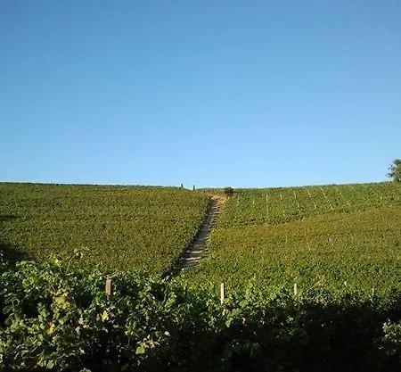 Gran Collina * San Damiano dʼAsti