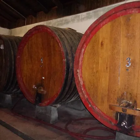 Gran Collina Farma *