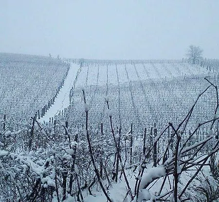 Gran Collina * San Damiano dʼAsti