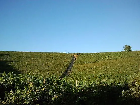 Gran Collina * San Damiano dʼAsti