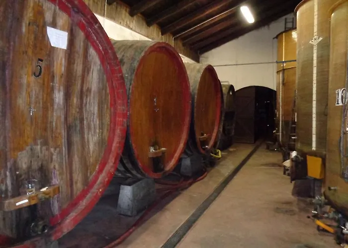 Gran Collina Bauernhof San Damiano dʼAsti