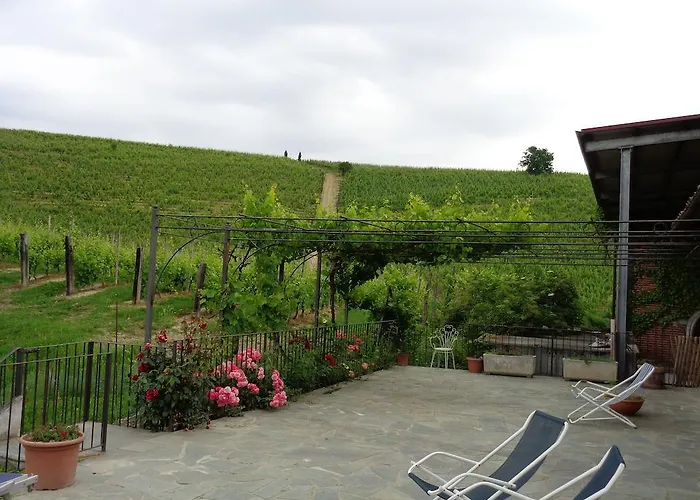 Gran Collina *